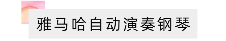 活动报道 | “科技助力，跨越时空”，小鹿纯子携手刘明康共享中日音乐盛宴